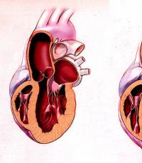Antrenamentul inimii: pulsul și indicatorii acestuia