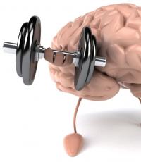 Тренировка мозга: упражнения